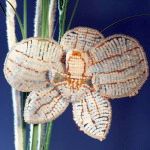 Perlenarbeit: Orchidee aus Perlen, Foto 1
